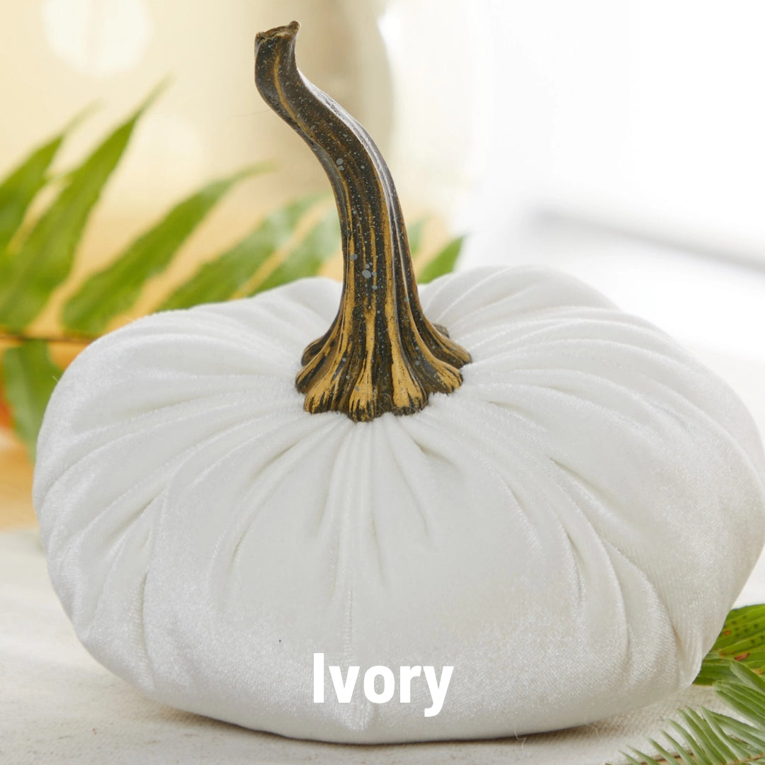 Velvet Pumpkin