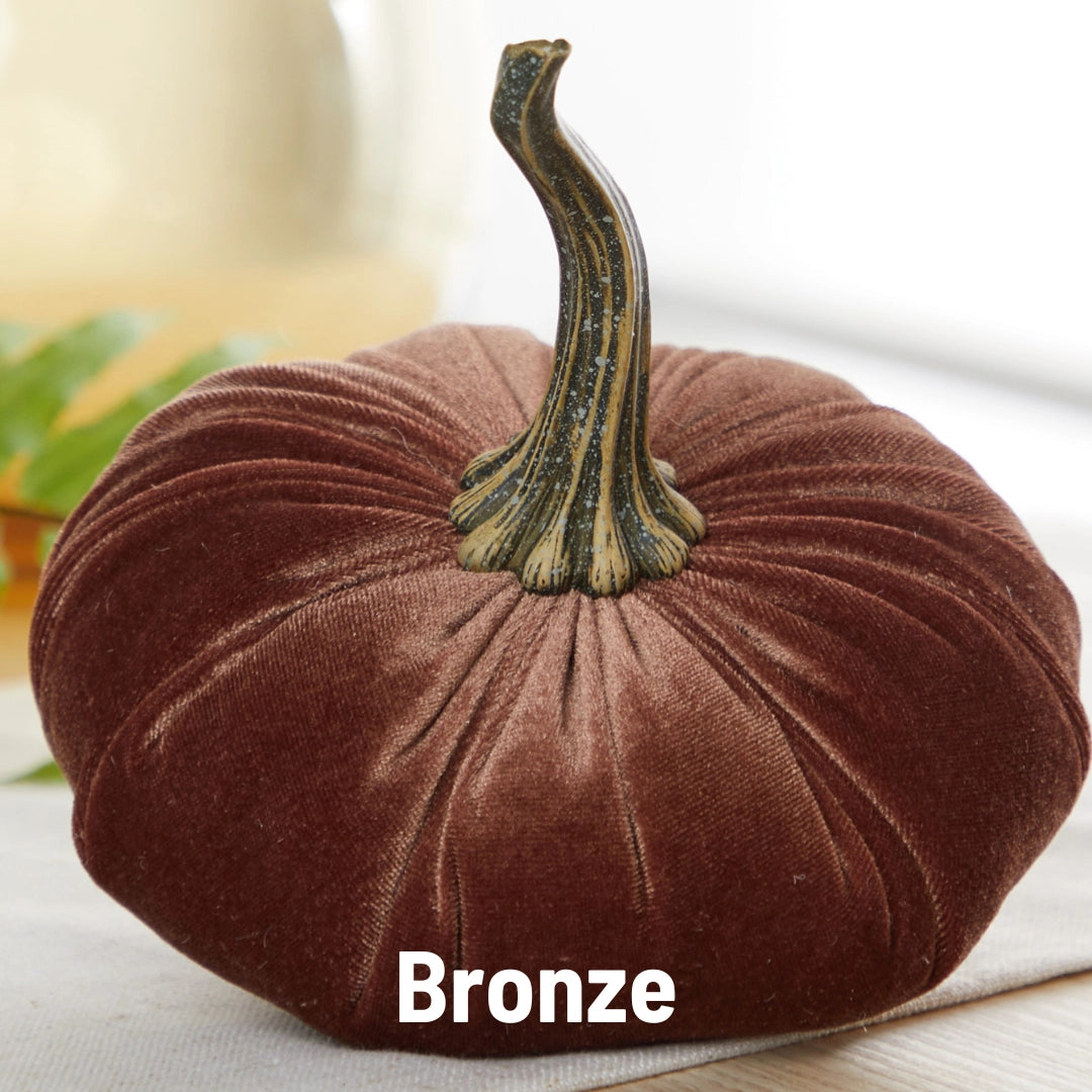 Velvet Pumpkin