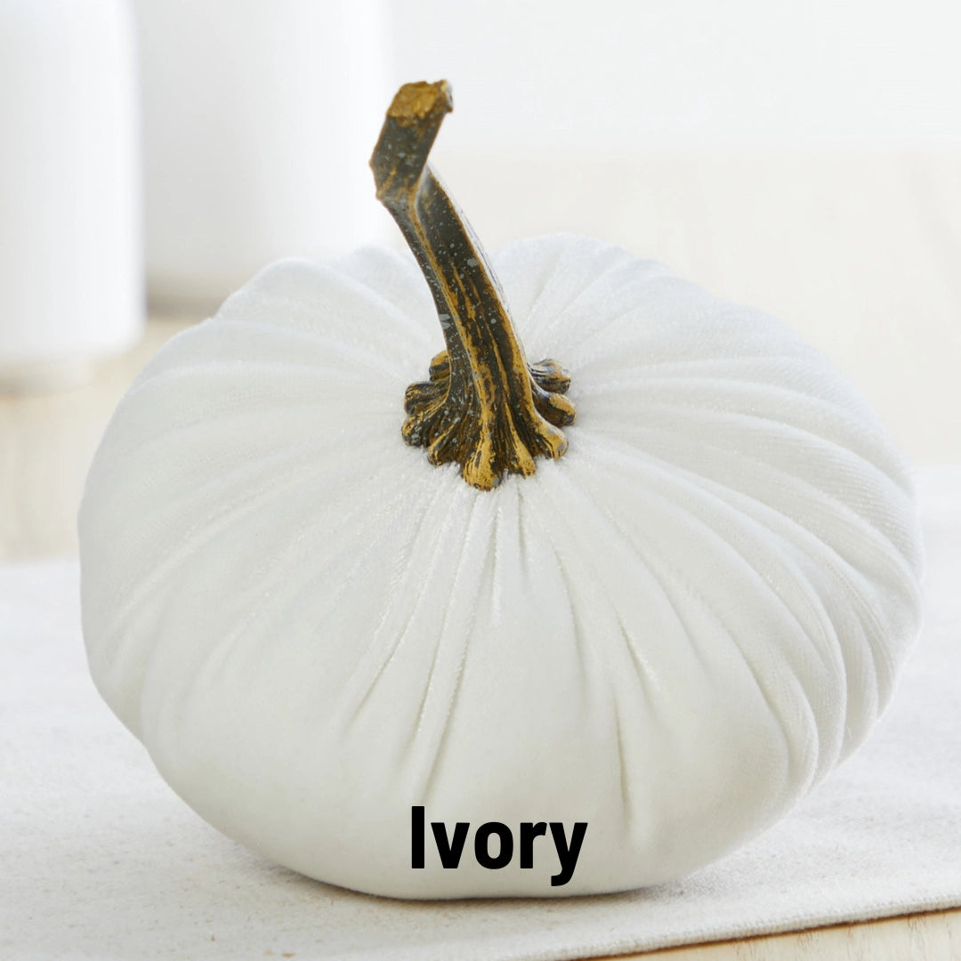 Velvet Pumpkin