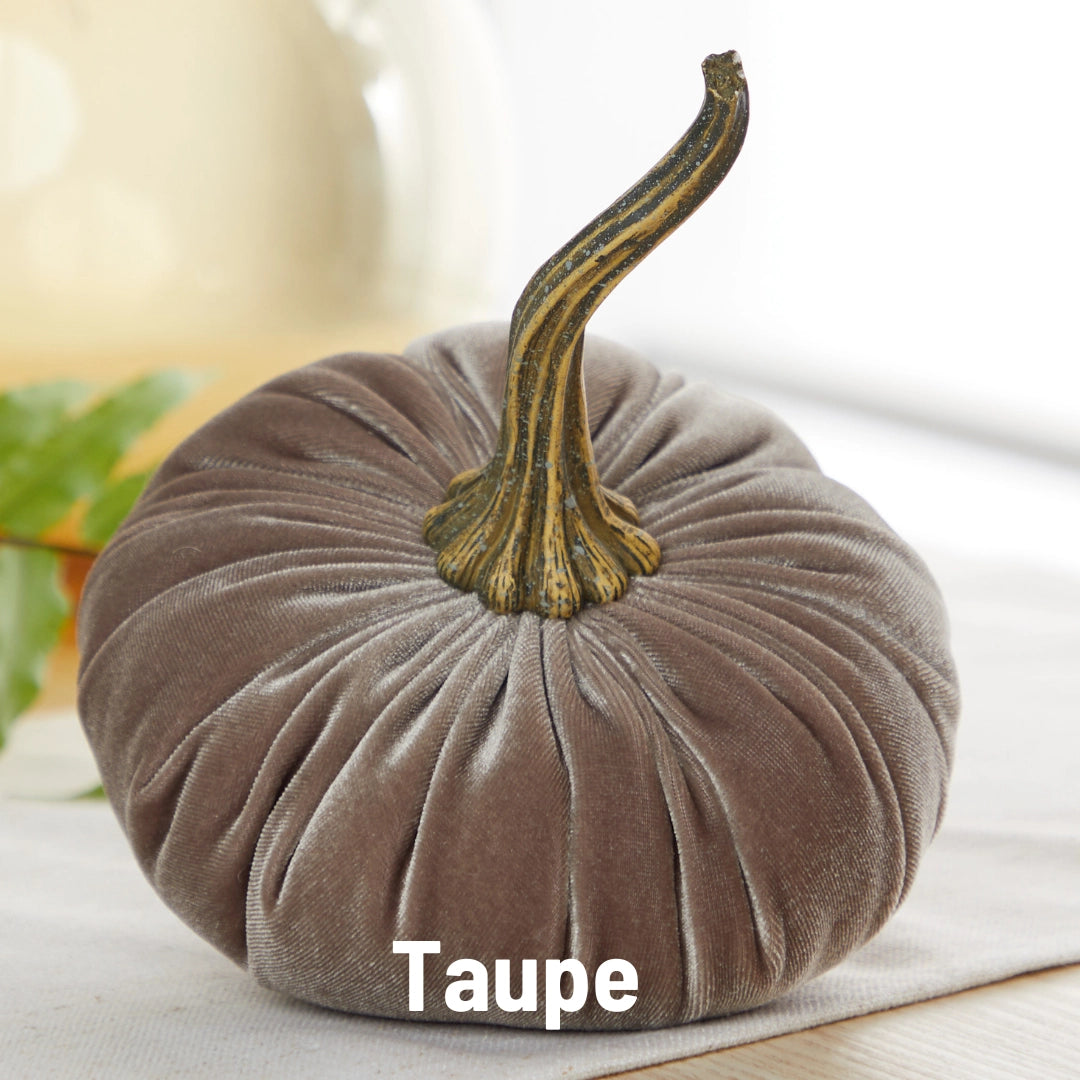 Velvet Pumpkin