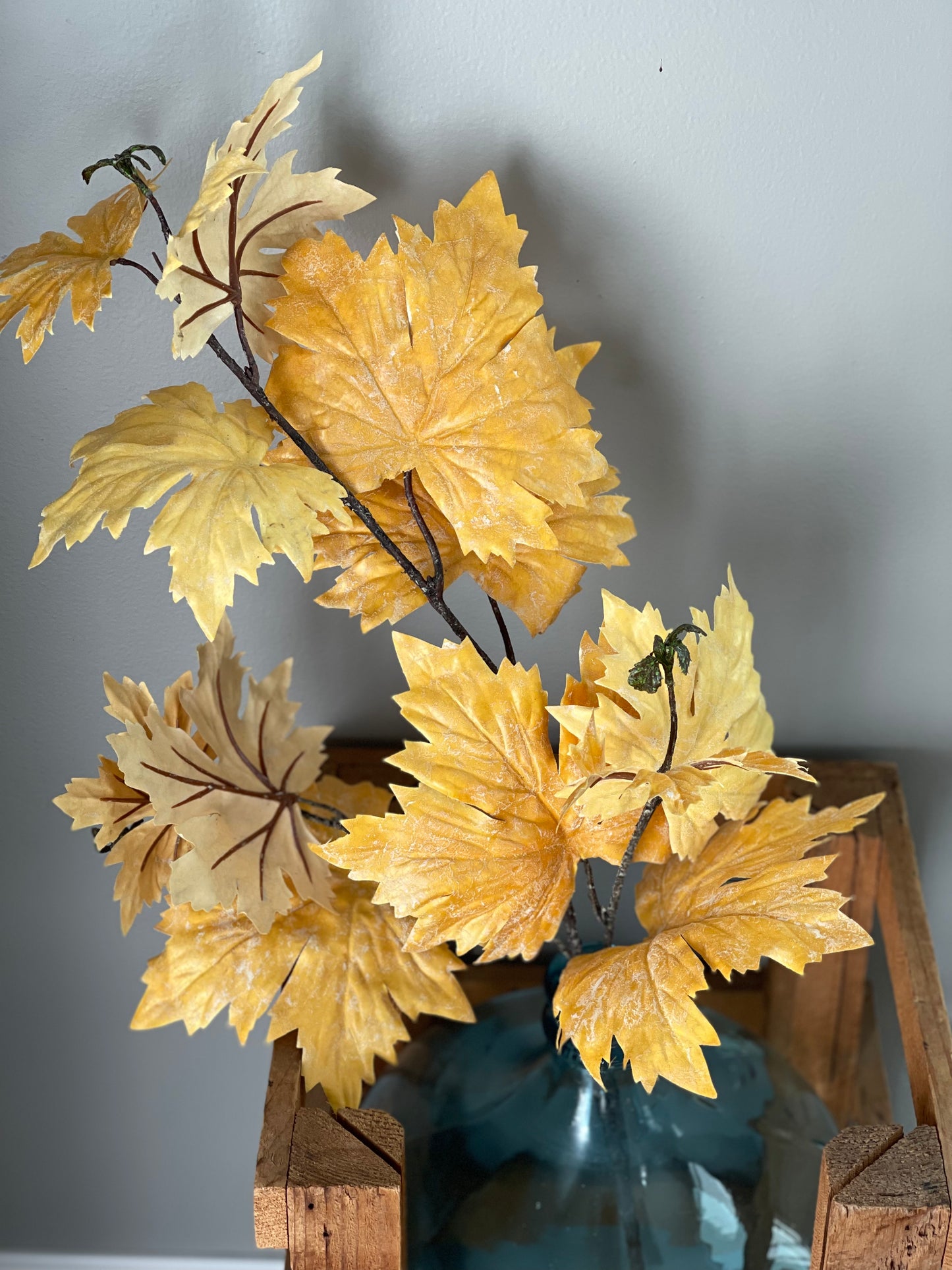 Maple Leaf Pick