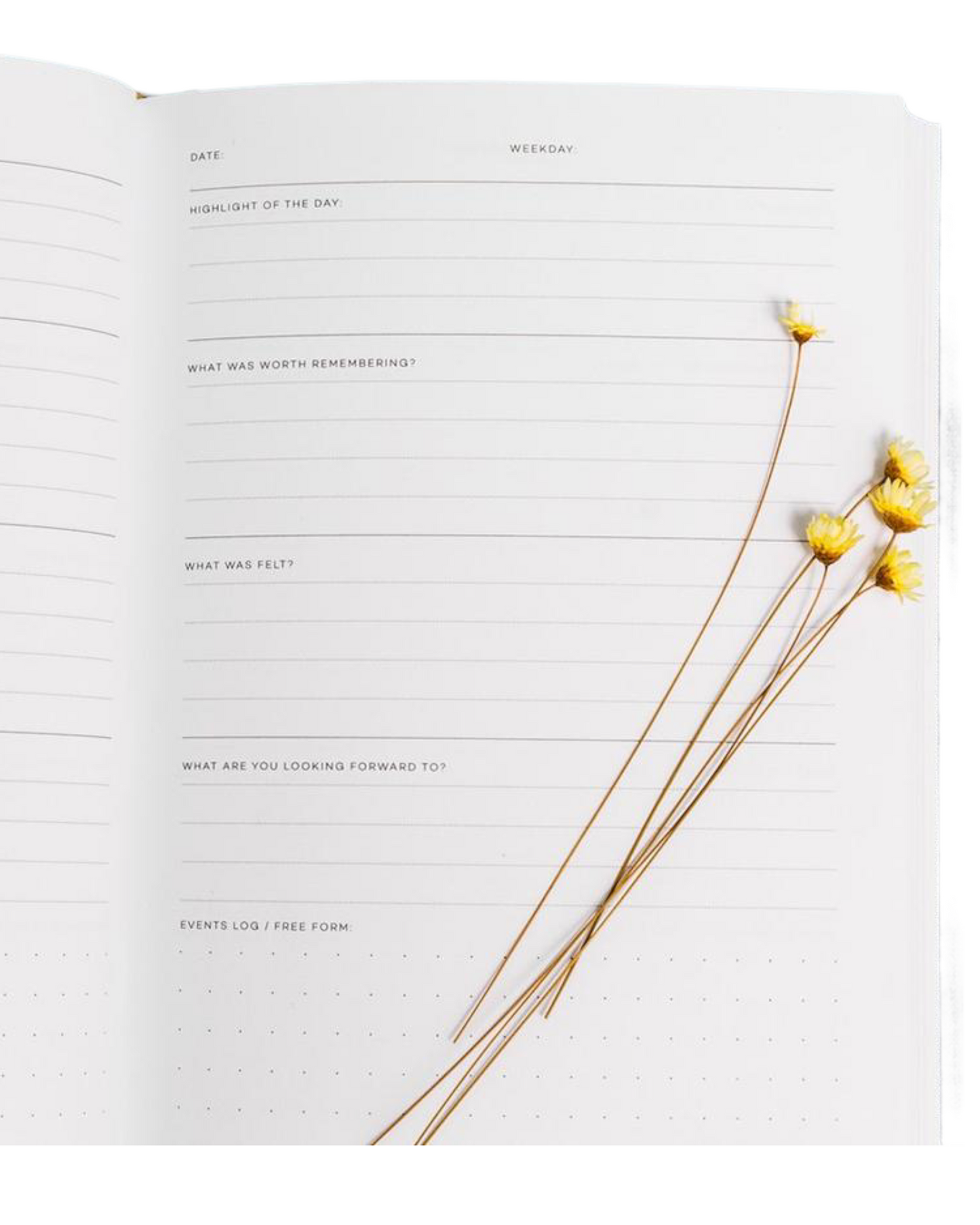 Abridged Journal (Oatmeal)