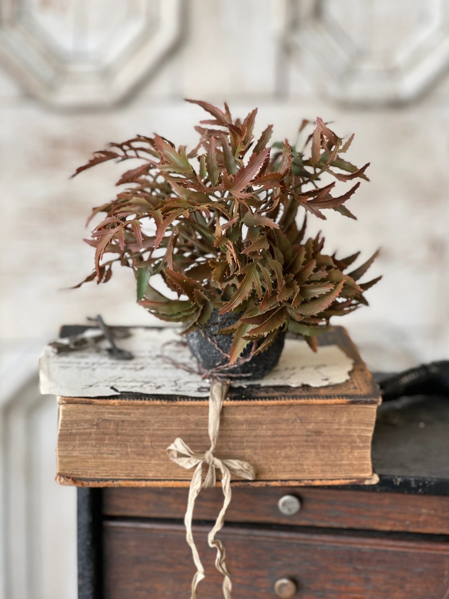 7" Rooted Frond