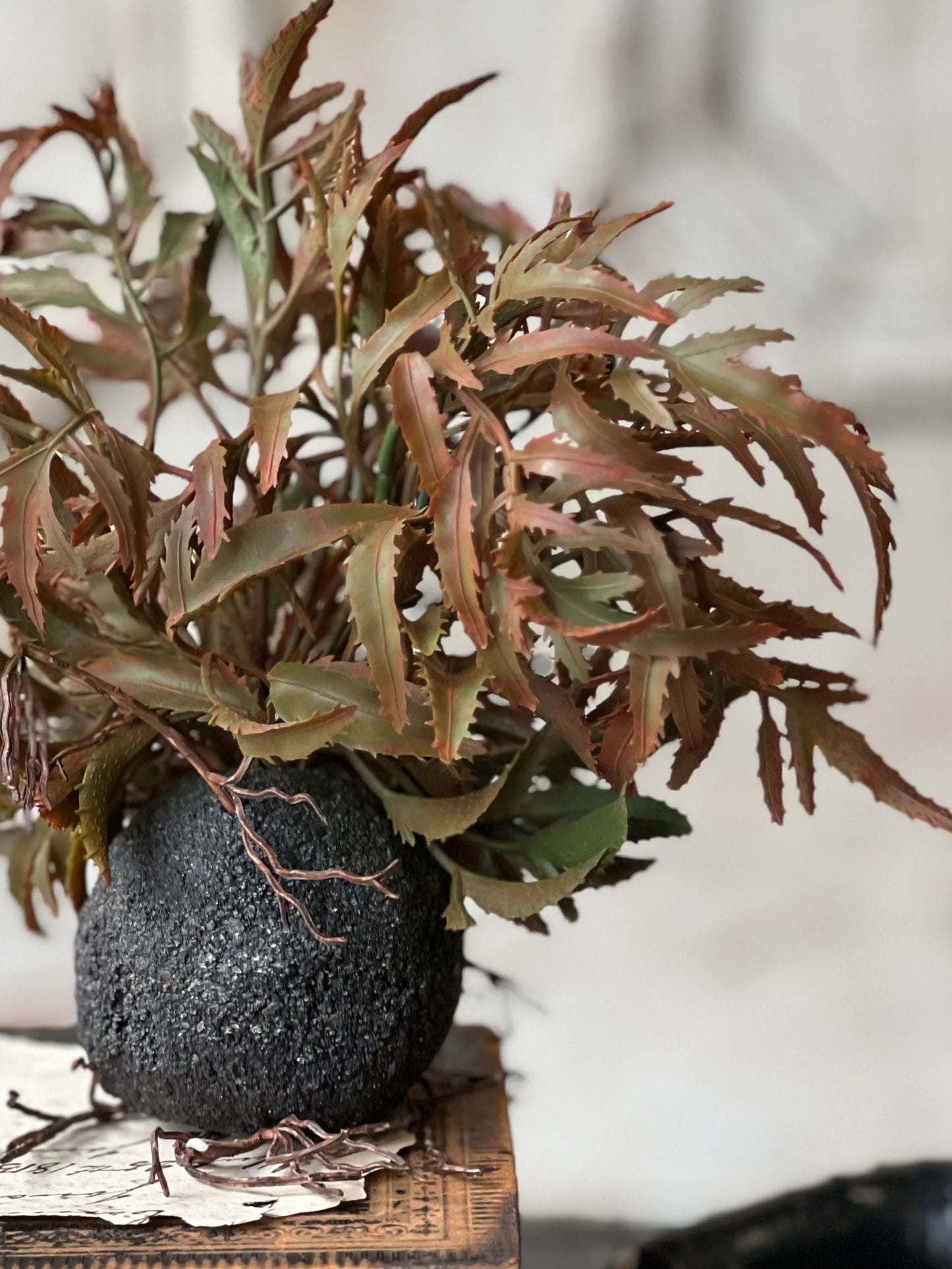 7" Rooted Frond