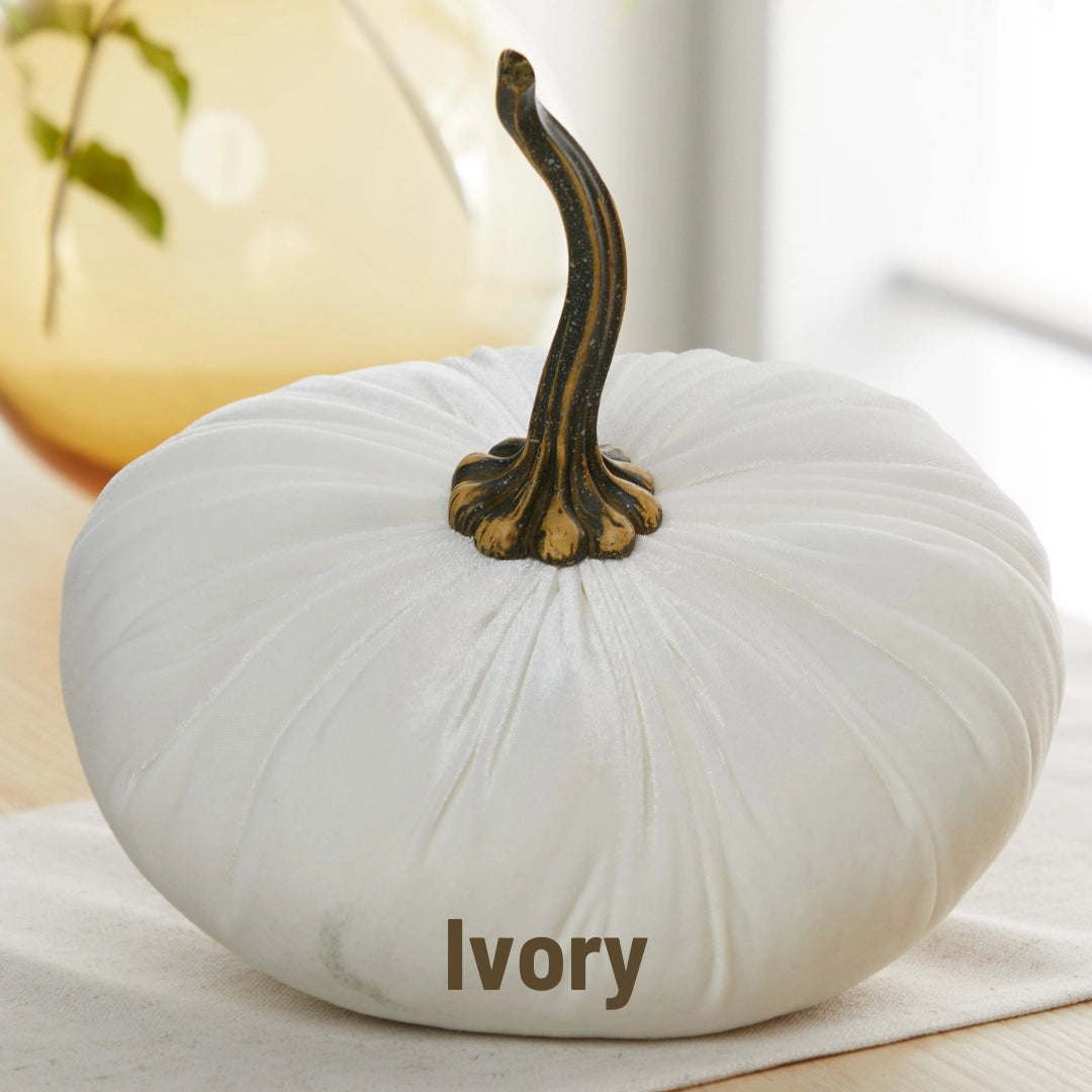 Velvet Pumpkin