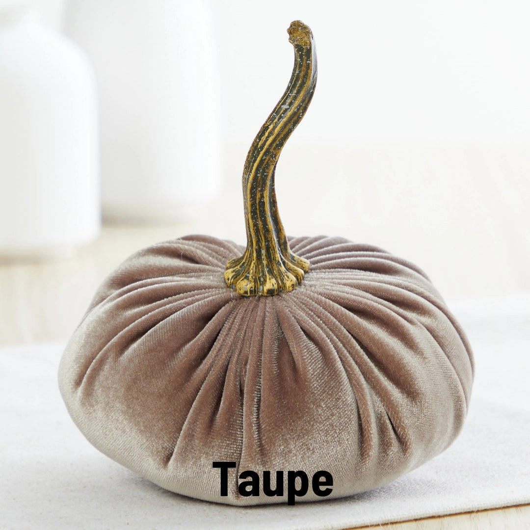 Velvet Pumpkin