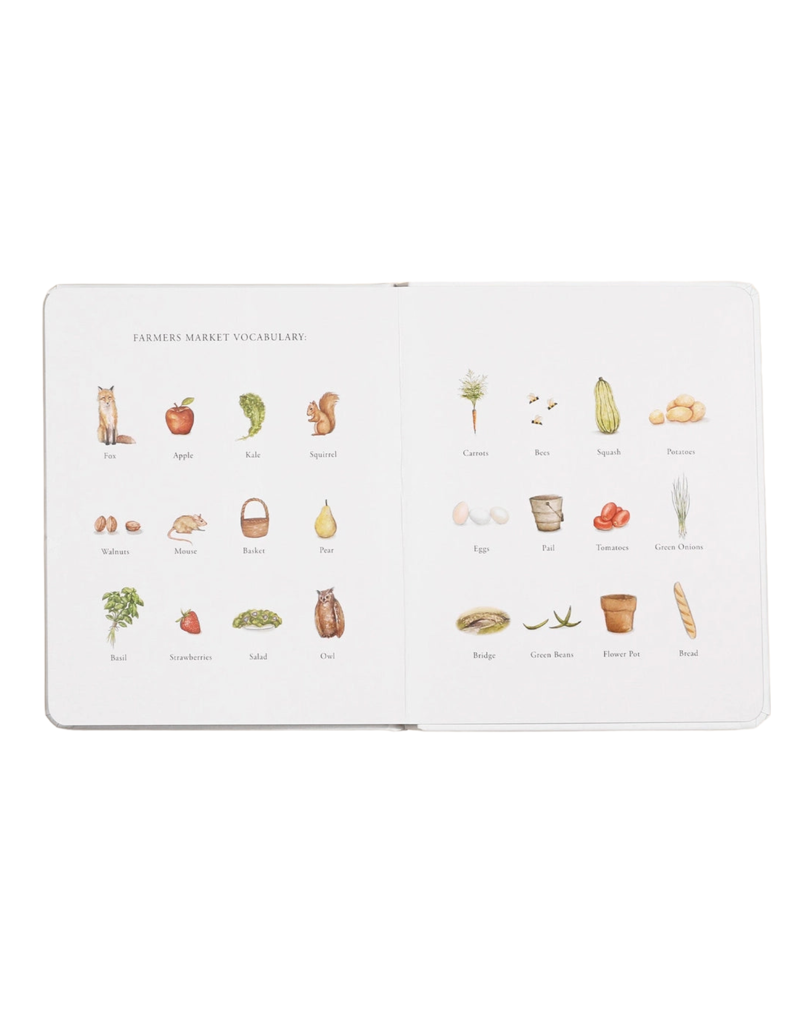 Our Little Adventures Book
