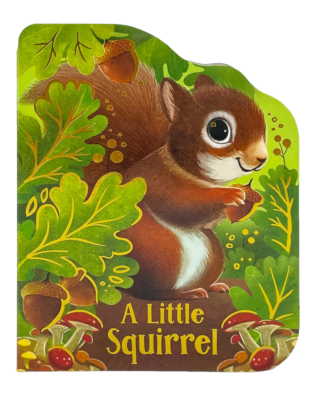 A Little Squirrel