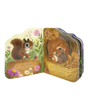 A Little Squirrel