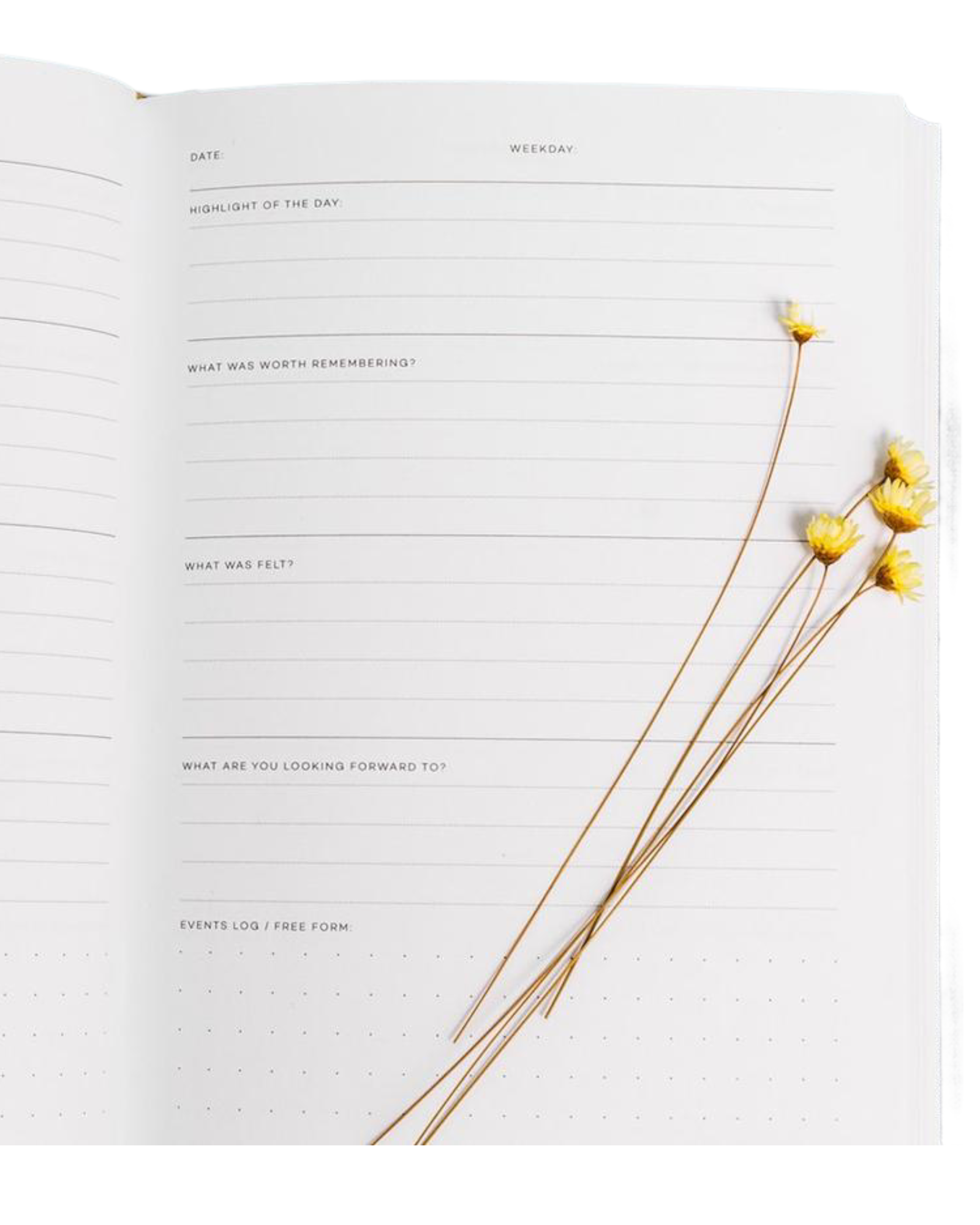 Abridged Journal (Oatmeal)